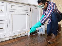 Best Pest Prevention Services  in Melvindale, MI